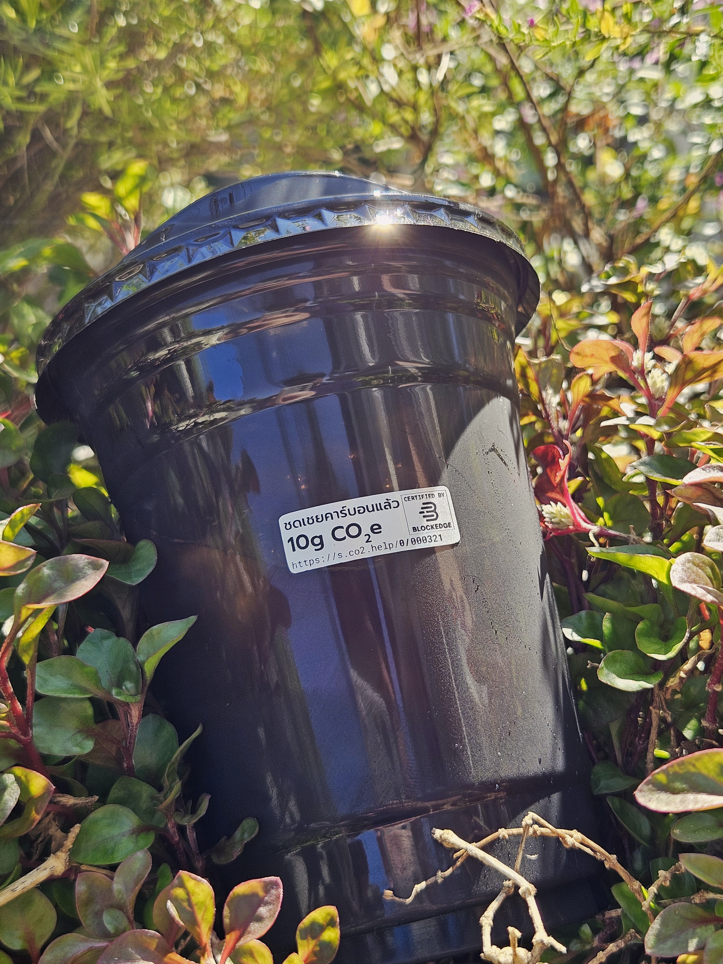 Carbon Offset Stamp on Coffee Cup